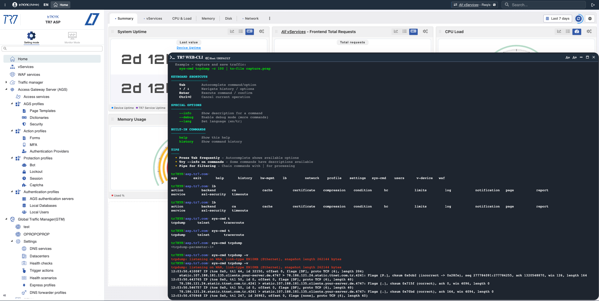 TR7 Web Console command output example